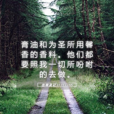 Picture 05 - 出 埃 及 记 31:11 CUVS - 膏 油 和 为 圣 所 用 馨 香 的 香 料 - Bible Verse Picture
