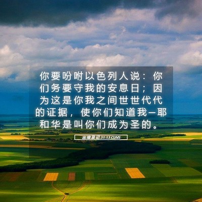 Picture 05 - 出 埃 及 记 31:13 CUVS - 你 要 吩 咐 以 色 列 人 说 ： 你 们 - Bible Verse Picture