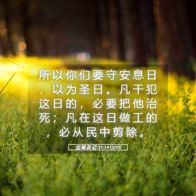 Picture 05 - 出 埃 及 记 31:14 CUVS - 所 以 你 们 要 守 安 息 日 ， 以 为 - Bible Verse Picture