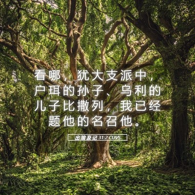 Picture 05 - 出 埃 及 记 31:2 CUVS - 看 哪 ， 犹 大 支 派 中 ， 户 珥 的 - Bible Verse Picture