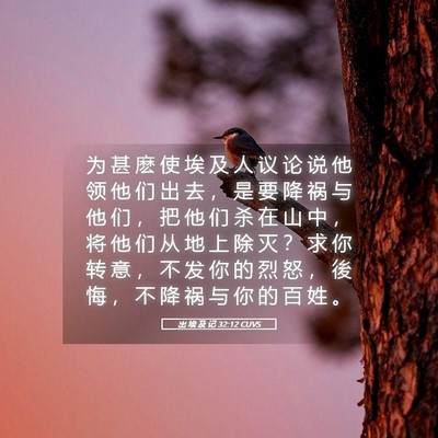 Picture 05 - 出 埃 及 记 32:12 CUVS - 为 甚 麽 使 埃 及 人 议 论 说 他 领 - Bible Verse Picture
