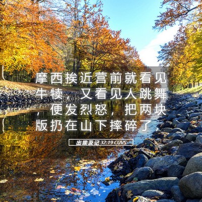 Picture 05 - 出 埃 及 记 32:19 CUVS - 摩 西 挨 近 营 前 就 看 见 牛 犊 ， - Bible Verse Picture