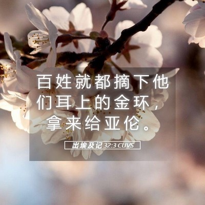 Picture 05 - 出 埃 及 记 32:3 CUVS - 百 姓 就 都 摘 下 他 们 耳 上 的 金 - Bible Verse Picture