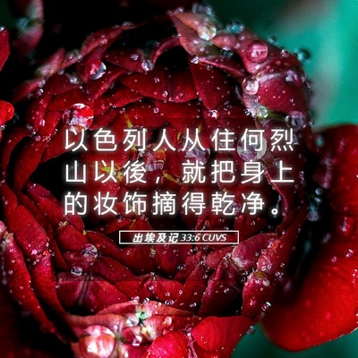 Picture 05 - 出 埃 及 记 33:6 CUVS - 以 色 列 人 从 住 何 烈 山 以 後 ， - Bible Verse Picture