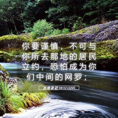 Picture 05 - 出 埃 及 记 34:12 CUVS - 你 要 谨 慎 ， 不 可 与 你 所 去 那 - Bible Verse Picture