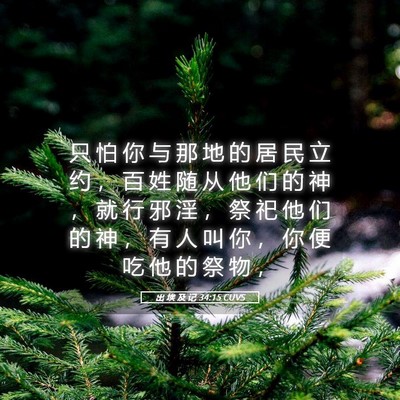 Picture 05 - 出 埃 及 记 34:15 CUVS - 只 怕 你 与 那 地 的 居 民 立 约 ， - Bible Verse Picture