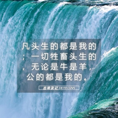Picture 05 - 出 埃 及 记 34:19 CUVS - 凡 头 生 的 都 是 我 的 ； 一 切 牲 - Bible Verse Picture