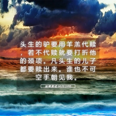 Picture 05 - 出 埃 及 记 34:20 CUVS - 头 生 的 驴 要 用 羊 羔 代 赎 ， 若 - Bible Verse Picture