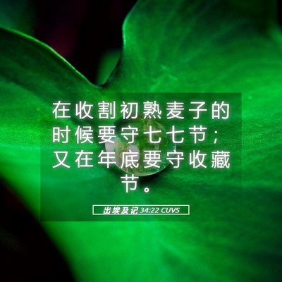Picture 05 - 出 埃 及 记 34:22 CUVS - 在 收 割 初 熟 麦 子 的 时 候 要 守 - Bible Verse Picture