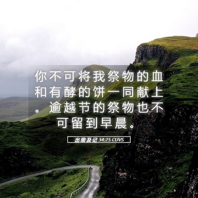 Picture 05 - 出 埃 及 记 34:25 CUVS - 你 不 可 将 我 祭 物 的 血 和 有 酵 - Bible Verse Picture