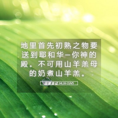 Picture 05 - 出 埃 及 记 34:26 CUVS - 地 里 首 先 初 熟 之 物 要 送 到 耶 - Bible Verse Picture