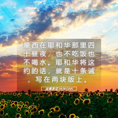 Picture 05 - 出 埃 及 记 34:28 CUVS - 摩 西 在 耶 和 华 那 里 四 十 昼 夜 - Bible Verse Picture