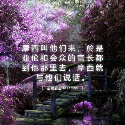Picture 05 - 出 埃 及 记 34:31 CUVS - 摩 西 叫 他 们 来 ； 於 是 亚 伦 和 - Bible Verse Picture