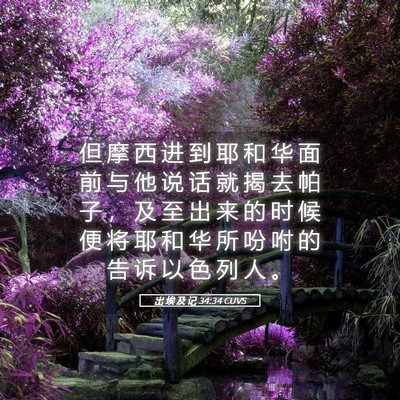 Picture 05 - 出 埃 及 记 34:34 CUVS - 但 摩 西 进 到 耶 和 华 面 前 与 他 - Bible Verse Picture
