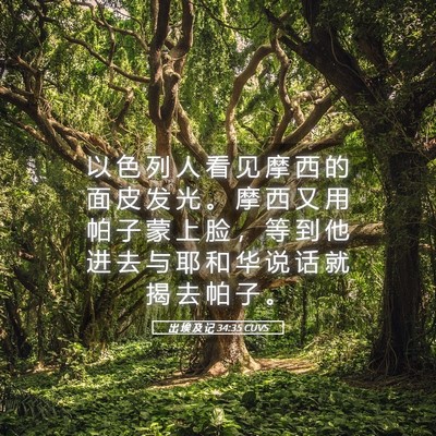 Picture 05 - 出 埃 及 记 34:35 CUVS - 以 色 列 人 看 见 摩 西 的 面 皮 发 - Bible Verse Picture