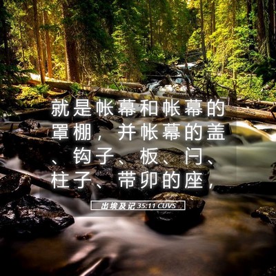 Picture 05 - 出 埃 及 记 35:11 CUVS - 就 是 帐 幕 和 帐 幕 的 罩 棚 ， 并 - Bible Verse Picture