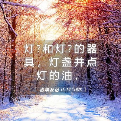 Picture 05 - 出 埃 及 记 35:14 CUVS - 灯 ? 和 灯 ? 的 器 具 ， 灯 盏 并 点 - Bible Verse Picture