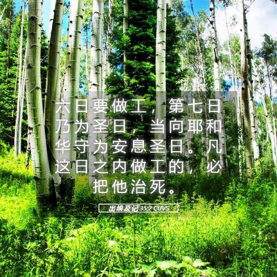 Picture 05 - 出 埃 及 记 35:2 CUVS - 六 日 要 做 工 ， 第 七 日 乃 为 圣 - Bible Verse Picture