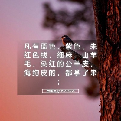 Picture 05 - 出 埃 及 记 35:23 CUVS - 凡 有 蓝 色 、 紫 色 、 朱 红 色 线 - Bible Verse Picture