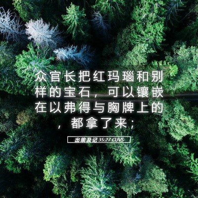 Picture 05 - 出 埃 及 记 35:27 CUVS - 众 官 长 把 红 玛 瑙 和 别 样 的 宝 - Bible Verse Picture
