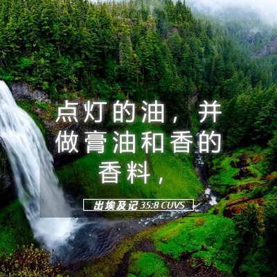 Picture 05 - 出 埃 及 记 35:8 CUVS - 点 灯 的 油 ， 并 做 膏 油 和 香 的 - Bible Verse Picture