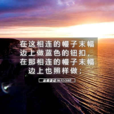 Picture 05 - 出 埃 及 记 36:11 CUVS - 在 这 相 连 的 幔 子 末 幅 边 上 做 - Bible Verse Picture