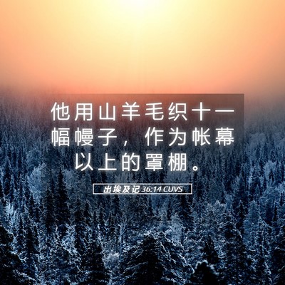 Picture 05 - 出 埃 及 记 36:14 CUVS - 他 用 山 羊 毛 织 十 一 幅 幔 子 ， - Bible Verse Picture