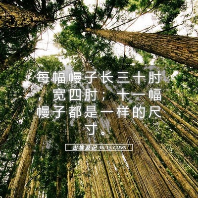 Picture 05 - 出 埃 及 记 36:15 CUVS - 每 幅 幔 子 长 三 十 肘 ， 宽 四 肘 - Bible Verse Picture