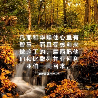 Picture 05 - 出 埃 及 记 36:2 CUVS - 凡 耶 和 华 赐 他 心 里 有 智 慧 、 - Bible Verse Picture