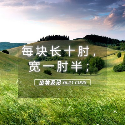 Picture 05 - 出 埃 及 记 36:21 CUVS - 每 块 长 十 肘 ， 宽 一 肘 半 - Bible Verse Picture