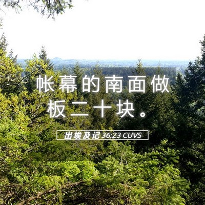 Picture 05 - 出 埃 及 记 36:23 CUVS - 帐 幕 的 南 面 做 板 二 十 块 - Bible Verse Picture