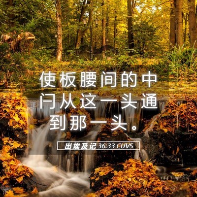 Picture 05 - 出 埃 及 记 36:33 CUVS - 使 板 腰 间 的 中 闩 从 这 一 头 通 - Bible Verse Picture