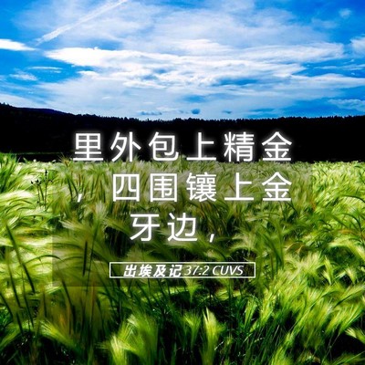 Picture 05 - 出 埃 及 记 37:2 CUVS - 里 外 包 上 精 金 ， 四 围 镶 上 金 - Bible Verse Picture