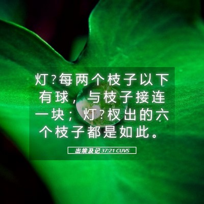 Picture 05 - 出 埃 及 记 37:21 CUVS - 灯 ? 每 两 个 枝 子 以 下 有 球 ， 与 - Bible Verse Picture