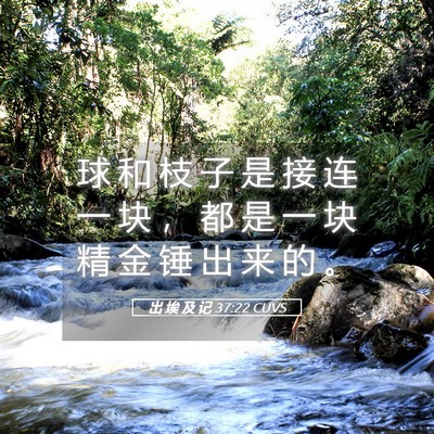 Picture 05 - 出 埃 及 记 37:22 CUVS - 球 和 枝 子 是 接 连 一 块 ， 都 是 - Bible Verse Picture