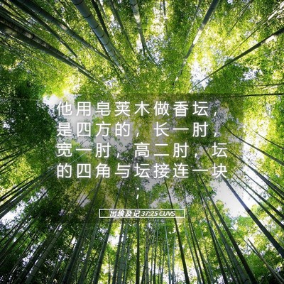 Picture 05 - 出 埃 及 记 37:25 CUVS - 他 用 皂 荚 木 做 香 坛 ， 是 四 方 - Bible Verse Picture