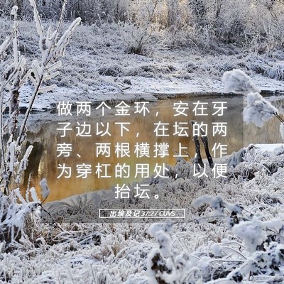 Picture 05 - 出 埃 及 记 37:27 CUVS - 做 两 个 金 环 ， 安 在 牙 子 边 以 - Bible Verse Picture