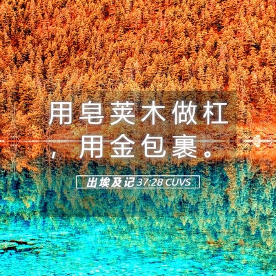 Picture 05 - 出 埃 及 记 37:28 CUVS - 用 皂 荚 木 做 杠 ， 用 金 包 裹 - Bible Verse Picture