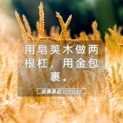 Picture 05 - 出 埃 及 记 37:4 CUVS - 用 皂 荚 木 做 两 根 杠 ， 用 金 包 - Bible Verse Picture