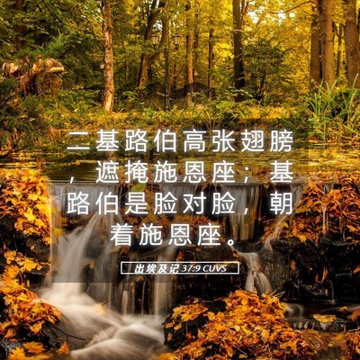 Picture 05 - 出 埃 及 记 37:9 CUVS - 二 基 路 伯 高 张 翅 膀 ， 遮 掩 施 - Bible Verse Picture