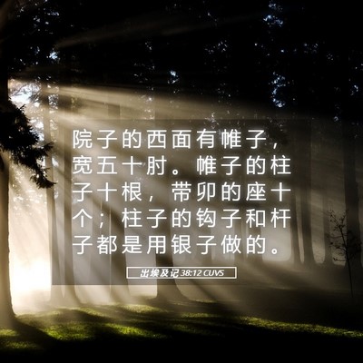 Picture 05 - 出 埃 及 记 38:12 CUVS - 院 子 的 西 面 有 帷 子 ， 宽 五 十 - Bible Verse Picture