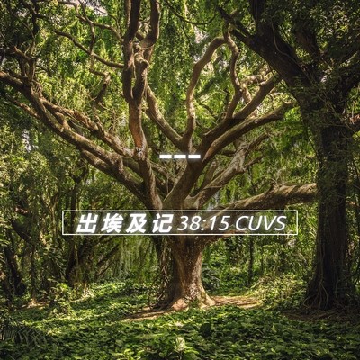 Picture 05 - 出 埃 及 记 38:15 CUVS -  - Bible Verse Picture