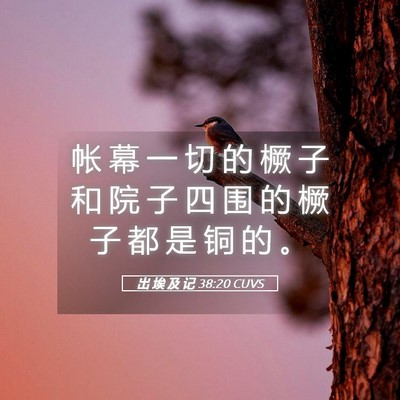 Picture 05 - 出 埃 及 记 38:20 CUVS - 帐 幕 一 切 的 橛 子 和 院 子 四 围 - Bible Verse Picture