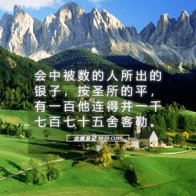 Picture 05 - 出 埃 及 记 38:25 CUVS - 会 中 被 数 的 人 所 出 的 银 子 ， - Bible Verse Picture