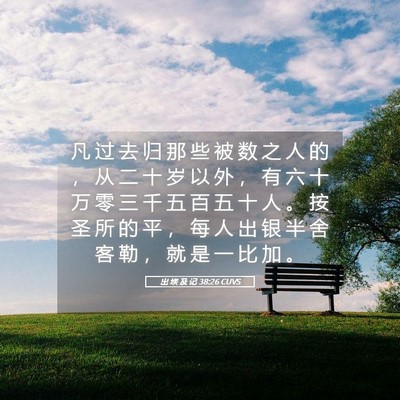 Picture 05 - 出 埃 及 记 38:26 CUVS - 凡 过 去 归 那 些 被 数 之 人 的 ， - Bible Verse Picture