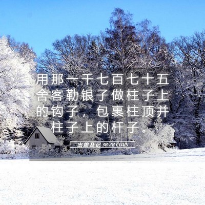 Picture 05 - 出 埃 及 记 38:28 CUVS - 用 那 一 千 七 百 七 十 五 舍 客 勒 - Bible Verse Picture