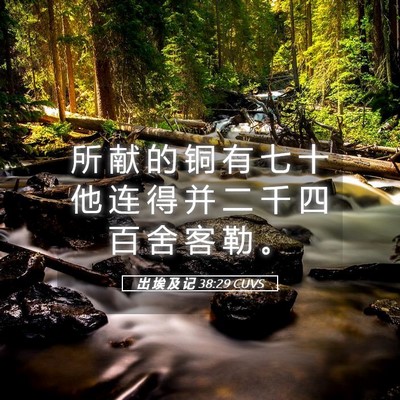 Picture 05 - 出 埃 及 记 38:29 CUVS - 所 献 的 铜 有 七 十 他 连 得 并 二 - Bible Verse Picture