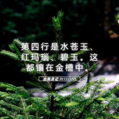 Picture 05 - 出 埃 及 记 39:13 CUVS - 第 四 行 是 水 苍 玉 、 红 玛 瑙 、 - Bible Verse Picture