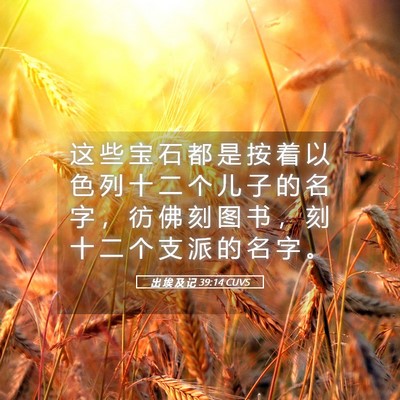 Picture 05 - 出 埃 及 记 39:14 CUVS - 这 些 宝 石 都 是 按 着 以 色 列 十 - Bible Verse Picture