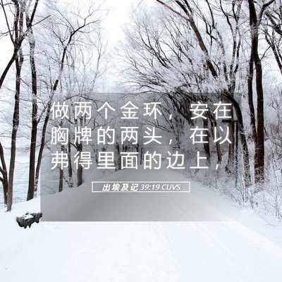 Picture 05 - 出 埃 及 记 39:19 CUVS - 做 两 个 金 环 ， 安 在 胸 牌 的 两 - Bible Verse Picture